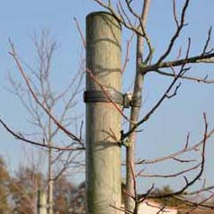 Poste fresado em Pinho Altura 150 cm